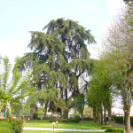 Pressana-Parco Villa Gaudio