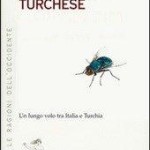 Una mosca turchese