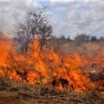 Kruger Park wildfire