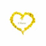 cuore-della-mimosa-136682198-001