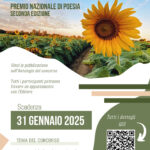 Concorso Qui Edit 31.1.2025